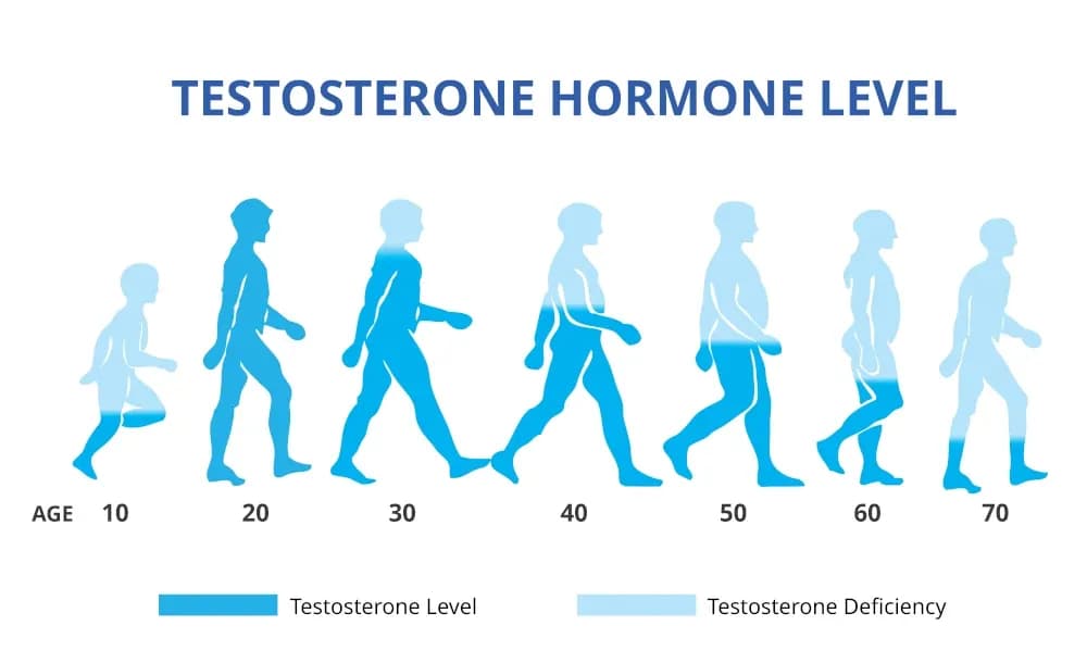 Zaburzenia hormonalne u mężczyzn objawy – nie ignoruj tych sygnałów