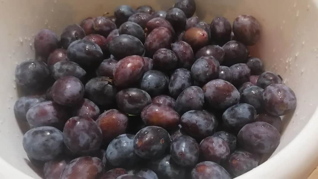 Jak mrozić śliwki, aby nie straciły smaku i aromatu?