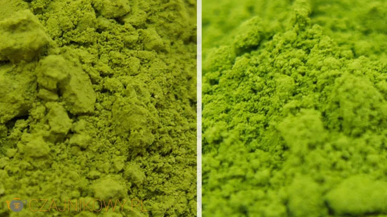 Jaka matcha najlepsza? Sprawdź, co wyróżnia najlepsze rodzaje